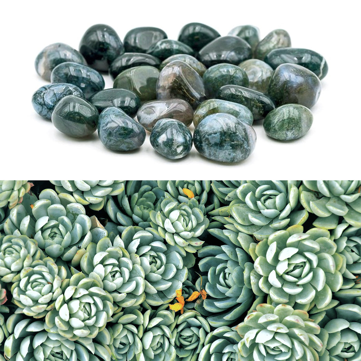 ozanao - agate mousse