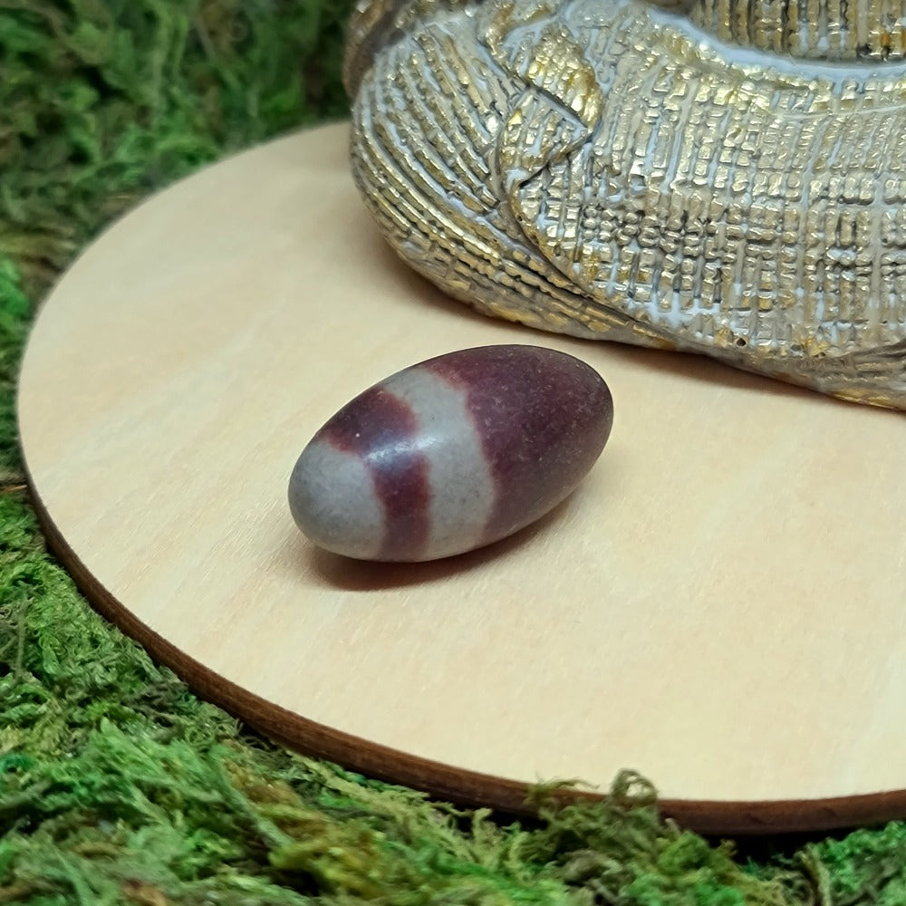 ozanao - pierre roulee lingam
